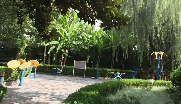 袁姗姗哀牢山“上班记”：当明星特权遇上蚂蟥